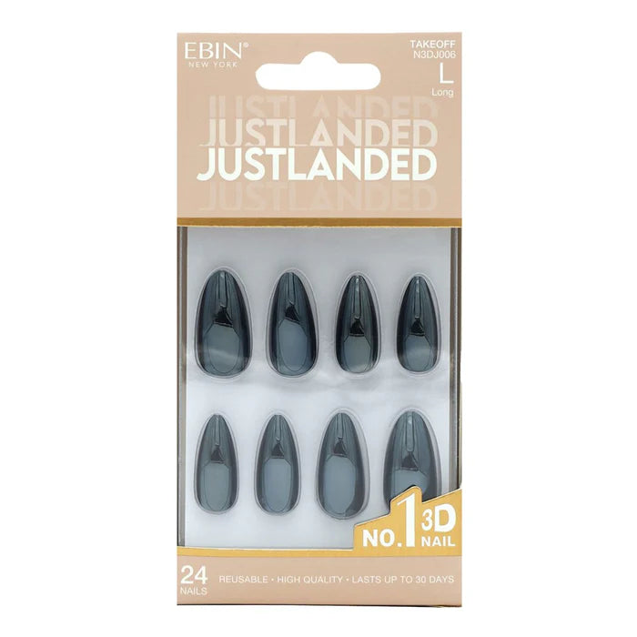 EBIN 3D Nail JUSTLANDED