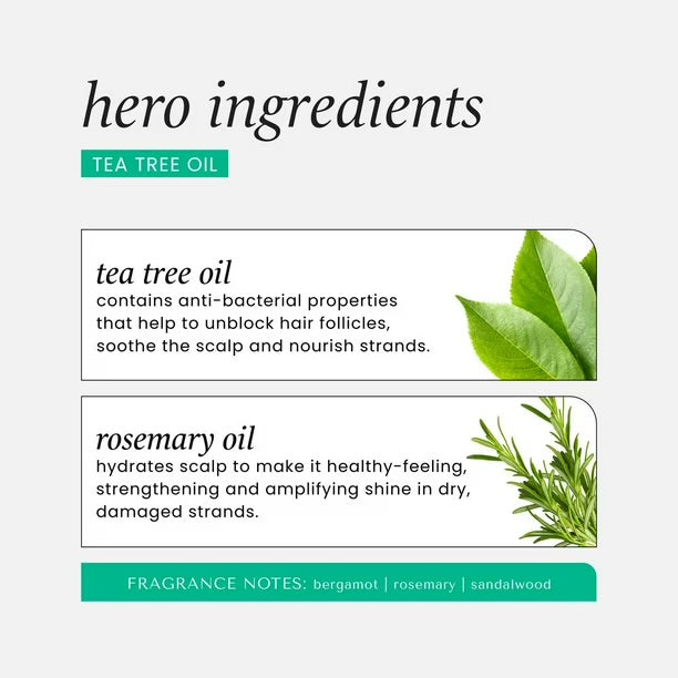 HASK Tea Tree Oil Invigorating Shampoo 355mL 12 oz