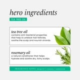 HASK Tea Tree oil invigorating Conditioner 355mL 12oz