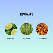 HASK Tea Tree oil invigorating Conditioner 355mL 12oz