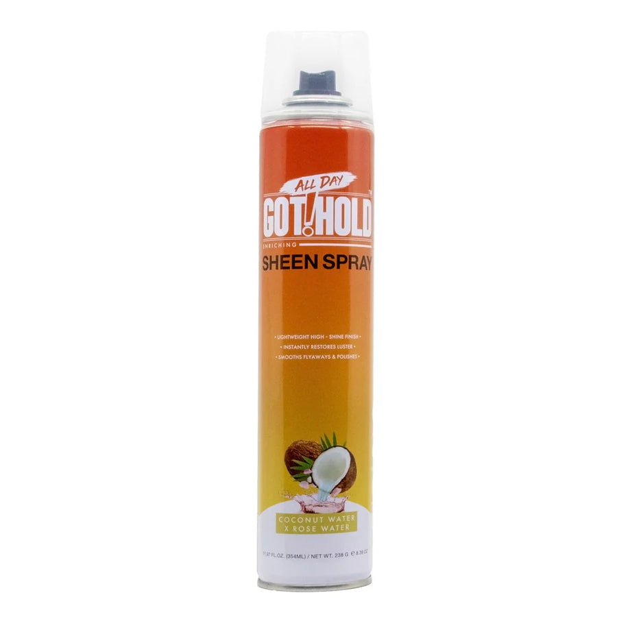 All Day Got Hold Sheen Spray